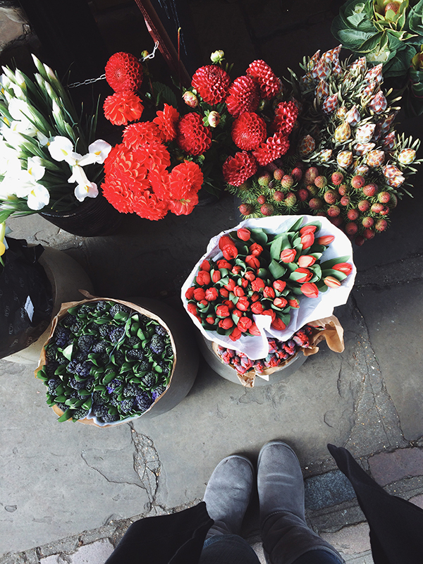 Interesting links and creative inspiration | SusannahConway.com